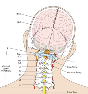 Dizziness and Vertigo | Upper Cervical Spine