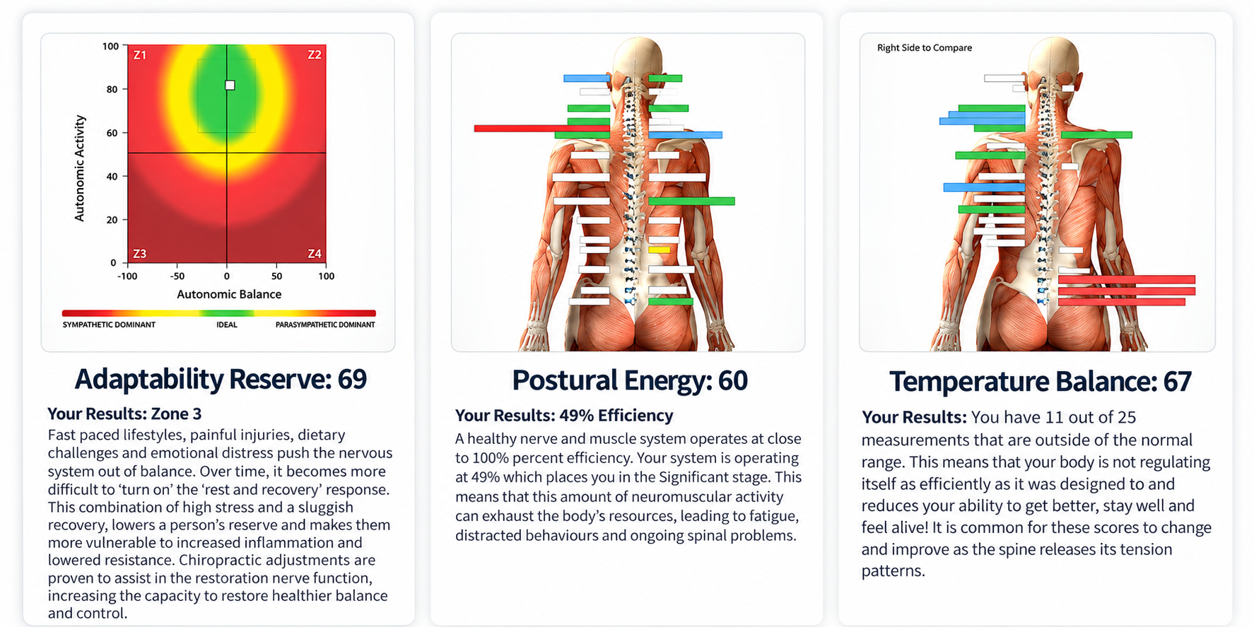 Chiropractic Wellness Results Dashboard